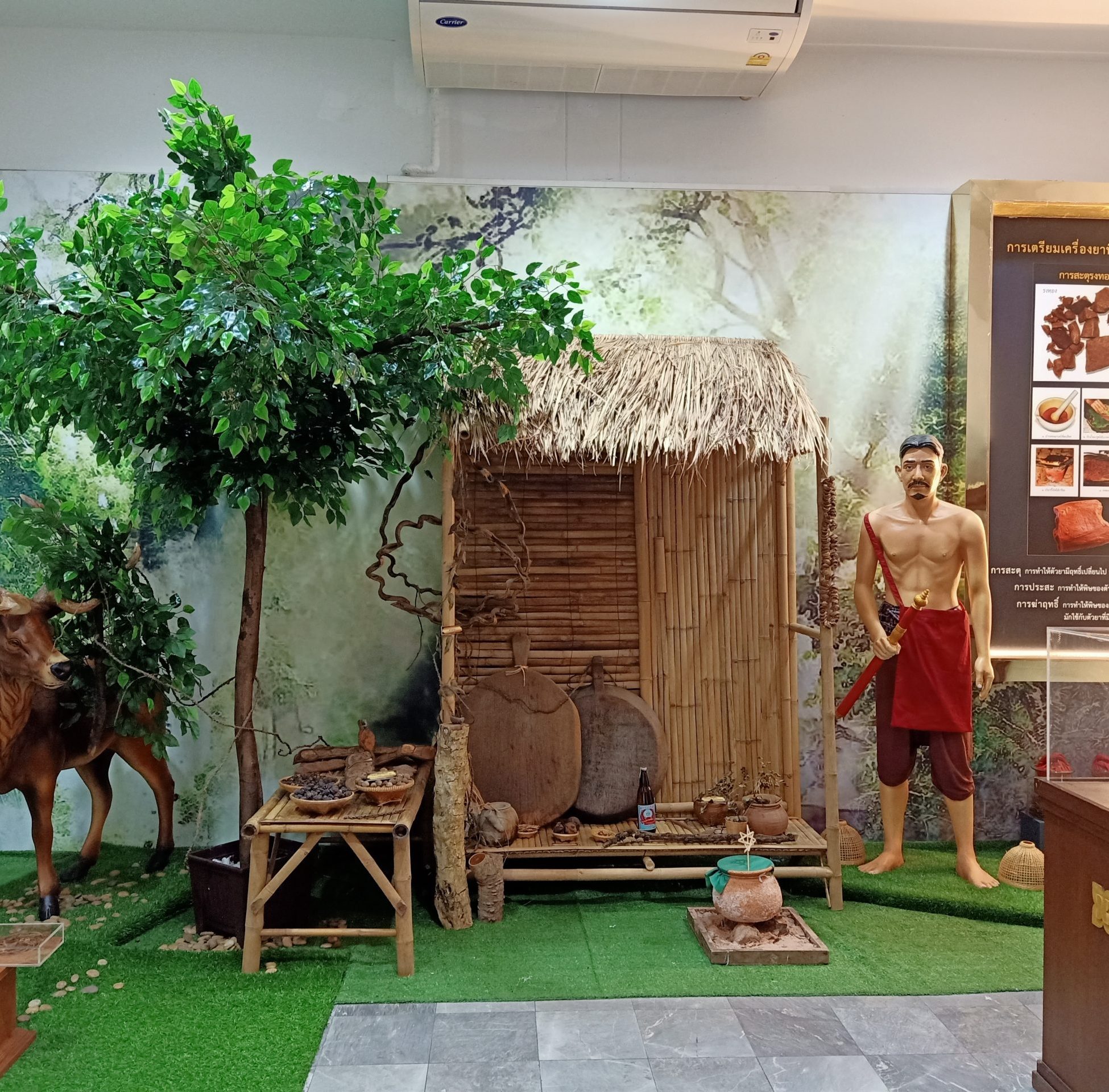 pay saj ja karma (5)